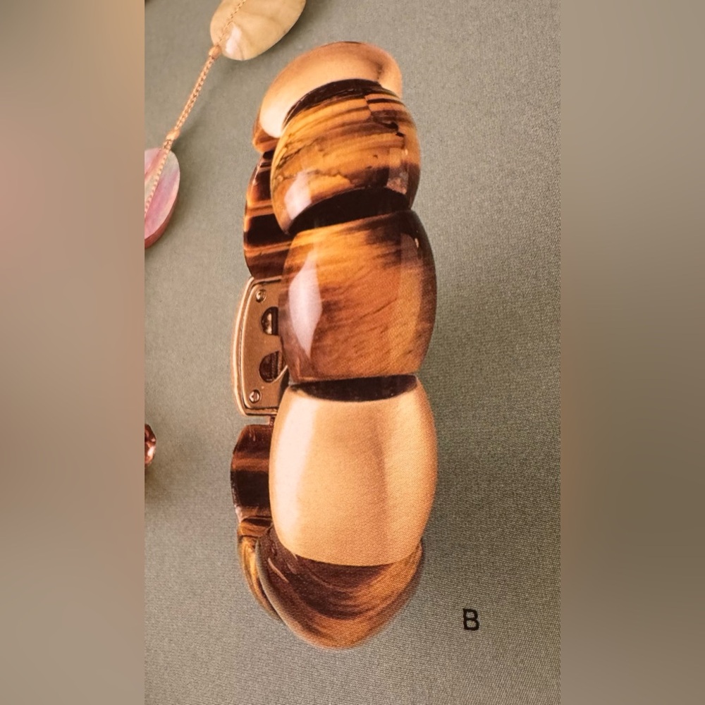 Lia Sophia “Sable”Tiger’s Eye Stretch Bracelet